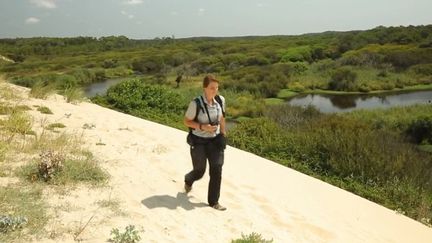 Découverte du week-end : l’Amazonie des Landes