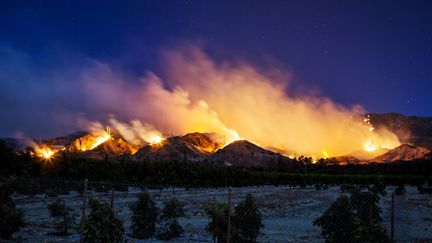 L'incendie "Thomas", le plus étendu, est aussi le plus éloigné du périmètre de Los Angeles. On le voit ici sur une colline près de Santa Paula, le 5 décembre 2017. (KYLE GRILLOT / AFP)