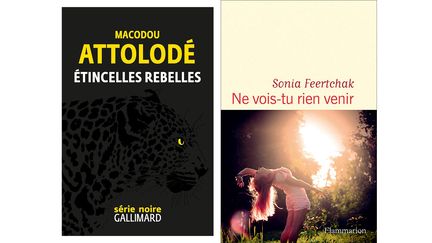 La suite de la sélection du Prix franceinfo 2025 de la BD d'actualité et de reportage, Macodou Attolodé et Sonia Feertchak