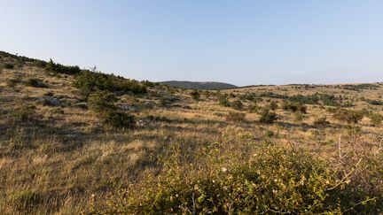 Une colline à Canjuers, dans la Var, le 10 avril 2017. (LAURE BOYER / HANS LUCAS / AFP)