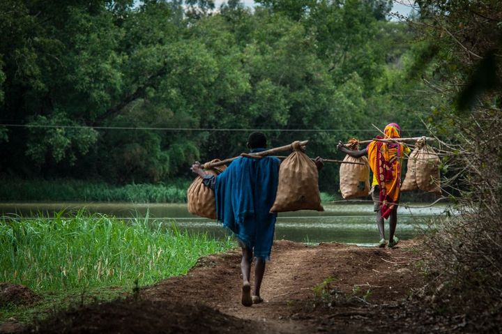 Près de Bahir Dar en Ethiopie, des hommes transportent des tomates pour les vendre au marché. (JONATHAN FONTAINE / HANS LUCAS)