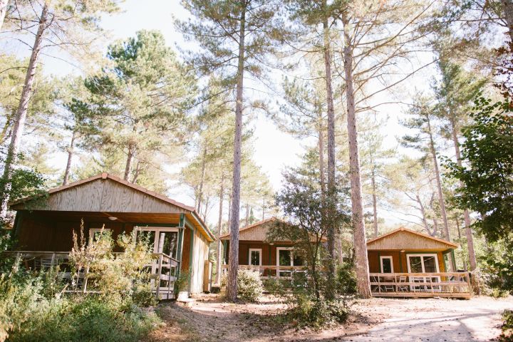 Des bungalows au camping de Belezy (Vaucluse). (SEBASTIEN BOUDOT)