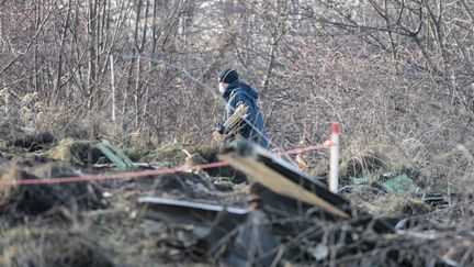 Crash mortel en Lituanie : l'Allemagne évoque la possibilité d'une intervention extérieure