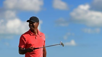 Tiger Woods a toutes les chances de faire son retour en Ryder Cup, six ans après sa dernière participation. 