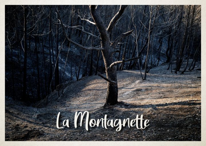 Le massif de la Montagnette (Bouches-du-Rhône), photographié après l'incendie qui a détruit 1 500 hectares de végétation, le 22 juillet 2022. (OLIVIER MARCHESI / HANS LUCAS / AFP / ELLEN LOZON / FRANCEINFO)