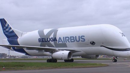 Airbus : le béluga, à la découverte d'un géant des airs