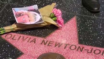 Cinéma : Olivia Newton-John, le décès d'une icône hollywoodienne