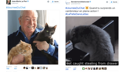 Depuis 2002, une journée mondiale du chat est organisée tous les 8 août. A gauche, la photo postée par Jean-Marie Le Pen ce 8 août 2016. (CAPTURE D'ÉCRAN TWITTER)