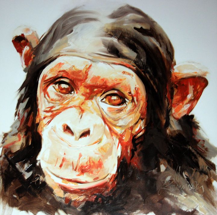 Un chimpanzé
 (Frank-E Rannou)