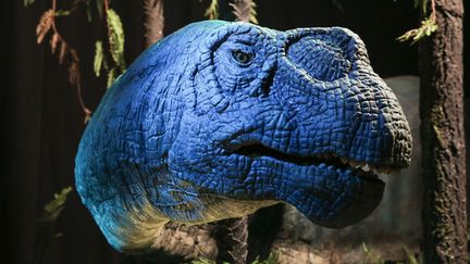 Exposition "Autour des dinosaures, un voyage du Jurassique au Crétacé".
 (PHOTOPQR/LE PARISIEN)