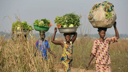 Centrafricaines allant vendre leurs légumes au marché de Bangui. (Miguel Medina/AFP)