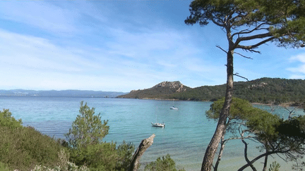 Tourisme : l’île de Porquerolles, prisée même l’hiver