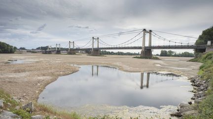 La canicule et la sécheresse ont asséché la Loire, à Montjean-sur-Loire(Maine-et-Loire), le 26 juin 2017. (PHILIPPE CHEREL / MAXPPP)