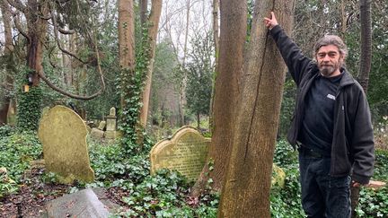 Franck Cano, chef jardinier du&nbsp;cimetière de Highgate dans le nord de Londres. (RICHARD PLACE / RADIO FRANCE)