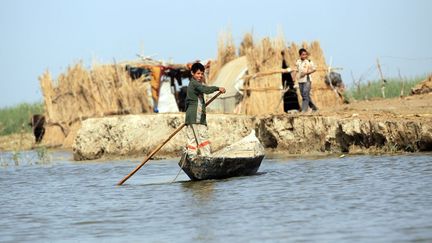 Un jeune Irakien pagaye sur son canot sur la rive gauche de l'Euphrate, près de la petite ville de Chebayish près de Nassiriyah, à 300 km au sud-est de Bagdad. Il s'agit du principal moyen de déplacement dans le marais. Sans lui pas de pêche, pas de collecte de roseaux, pas d'échanges (photo datant de 2013).  (ALI AL-SAADI / AFP )