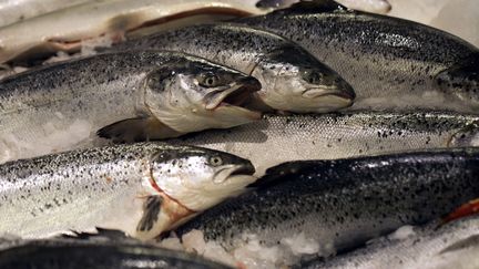 Du saumon d'&eacute;levage norv&eacute;gien sur un &eacute;tal de supermarch&eacute; au Kremlin-Bic&ecirc;tre (Val-de-Marne), le 21 d&eacute;cembre 2012. (JOEL SAGET / AFP)