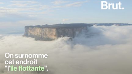 Située en Amérique du Sud, cette montagne est l'un des lieux les plus inaccessibles sur Terre. Si bien qu'un écosystème unique s'y est développé. Cette montagne est surnommée "l'île flottante".