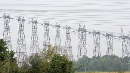 Une panne sur une ligne &agrave; tr&egrave;s haute tension prive 90 000 foyers toulousains d'&eacute;lectricit&eacute;, le 11 avril 2012. (BERTRAND GUAY / AFP)