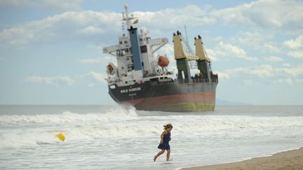 Un cargo est &eacute;chou&eacute; sur la plage El Saler pr&egrave;s de Valence (Espagne) &agrave; la suite des violentes chutes de pluie dans la r&eacute;gion, le 29 septembre 2012. (PEDRO ARMESTRE / AFP)