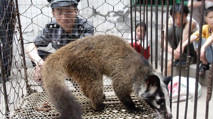 Une civette en cage sur le marché de Wuhan en Chine. Photo d'illustration. (STR / AFP)