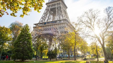 Des arbres au pied de la Tour Eiffel, à Paris, le 6 novembre 2016. (GARDEL BERTRAND / HEMIS.FR / AFP)