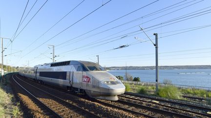 Un TGV approche de Brest et passe devant le port du Moulin Blanc, le 28 novembre 2016. (MAXPPP)