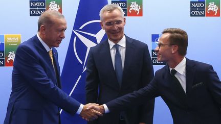 Le président turc Recep Tayyip Erdogan rencontre le Premier ministre suédois Ulf Kristersson en présence du secrétaire général de l'Otan Jens Stoltenberg, à Vilius (Lituanie) le 10 juillet 2023. (YVES HERMAN / AFP)
