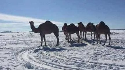 Désert recouvert de neige (DR/Capture d&#039;écran Facebook)