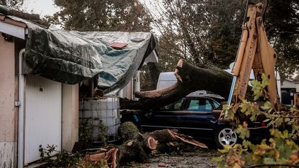 À Bordeaux, après le passage de la tempête Domingos, le 5 novembre 2023. (GUILLAUME BONNAUD / MAXPPP)