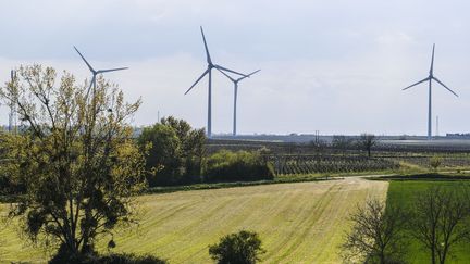 Un parc éolien installé à proximité du village de Tigné, en Maine-et-Loire, le 20 avril 2021. (JEAN-MICHEL DELAGE / HANS LUCAS / AFP)