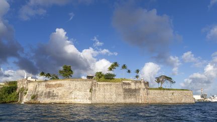 Fort-de-France, en Martinique (2018) (LIOT JEAN-MARIE / HEMIS.FR / HEMIS.FR / AFP)