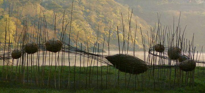 "Transition" de Sophie Prestigiacomo&nbsp;et&nbsp;Régis Poisson (Sophie Prestigiacomo et Régis Poisson)