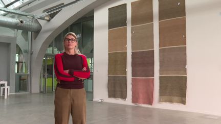 L'artiste Anne Marie Maes pose devant une de ses créations issues de la série "Pantone Alsace: Reading the Landscape". (FRANCE 3 ALSACE)