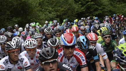 Le peloton  (JEFF PACHOUD / AFP)