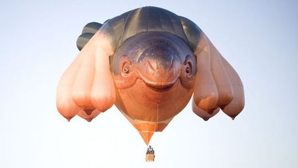 Le ballon géant conçu par Patricia Piccinini pour survoler Canberra
 (MARK CHEW / CENTENARY OF CANBERRA / AFP)