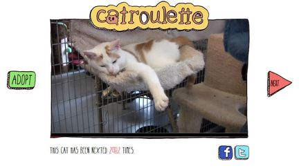 Capture d'&eacute;cran du site d'adoption de chats&nbsp;Catroulette.be, le 6 septembre 2012. (CATROULETTE.BE)