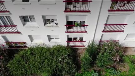 Nantes : des potagers dans la ville