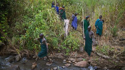 et se purger en se faisant vomir pour purifier leur corps. Juste avant le duel, ils boivent le sang frais d’une vache de leur troupeau, censé leur apporter force et énergie. Comme l’explique Hans Silvester dans son ouvrage «Pastorale africaine», le zébu est le bien le plus précieux pour les Suri. (Carl de Souza / AFP)