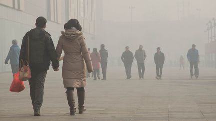 Des habitants de Shijiazhuang (Chine) se prom&egrave;nent pr&egrave;s du centre commercial&nbsp;Yuhua Wanda, le 18 janvier 2014. (THOMAS BAIETTO / FRANCETV INFO)