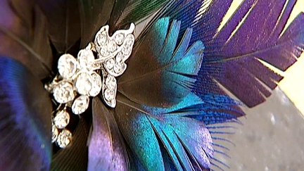 Broche en plumes 
 (France 2/Culturebox)