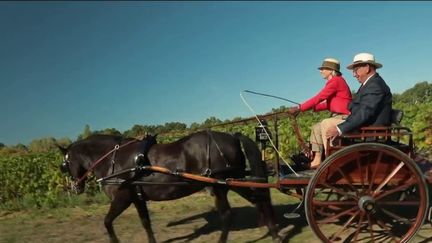 Jeudi 22 septembre, le feuilleton du 13 Heures sur les mécanos du passé se poursuit avec la présentation de différentes calèches, rassemblées pour un concours de tradition.&nbsp; (FRANCE 2)