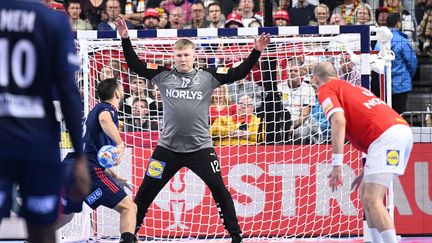 L'équipe de France de handball lors du Championnat d'Europe de handball masculin entre la France et le Danemark à Cologne, dans l'ouest de l'Allemagne, le 28 janvier 2024. (KIRILL KUDRYAVTSEV / AFP)