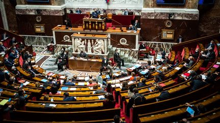 L'hémicycle de l'Assemblée nationale, le 18 mai 2021 à Paris. (XOSE BOUZAS / HANS LUCAS / AFP)