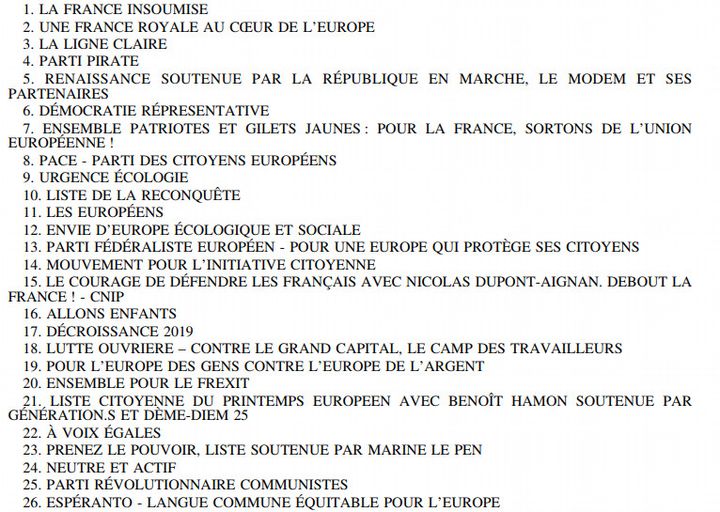 Liste des partis en lice aux élections européennes. (capture d'écran)&nbsp; (LEGIFRANCE)