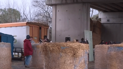 Les agriculteurs bloquent, vendredi 19 janvier, une portion de l'autoroute A64 à Carbonne (Haute-Garonne). Une manière de protester contre l'augmentation de leurs charges mais aussi celle des prix du gazole non-routier.