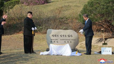 Les dirigeants des deux Corées lors d'une cérémonie de plantation d'un arbre. (STR / KCNA VIA KNS)