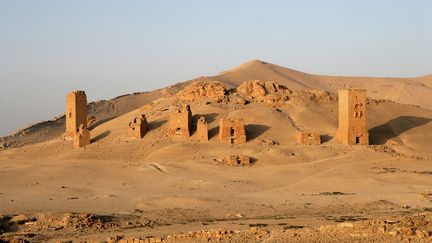 Tower-tombs of Lamliku, Valley of Tombs, late 3rd century AD, Palmyra, Syria Picture by Manuel Cohen (MANUEL COHEN / AFP )