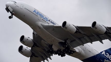 L'A380, l'un des fleurons d'Airbus, le 18 avril 2015, au Bourget. (MIGUEL MEDINA / AFP)