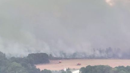 Incendie en Bretagne : joyau de la région, la forêt de Brocéliande part en fumée