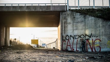 L'entrée de la "jungle" de Calais, le 19 février 2016.&nbsp; (JULIEN PITINOME / NURPHOTO / AFP)